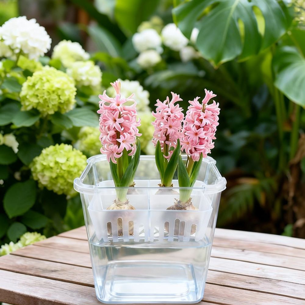 Plant Pot - Vas Hidroponik untuk Bunga Tulip dan