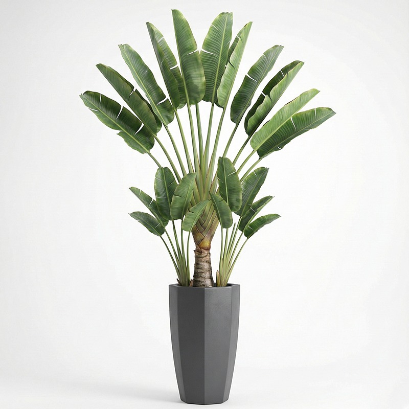 Fiddle Leaf Fig - Pohon Fiddle Leaf Fig Plastik Simulasi