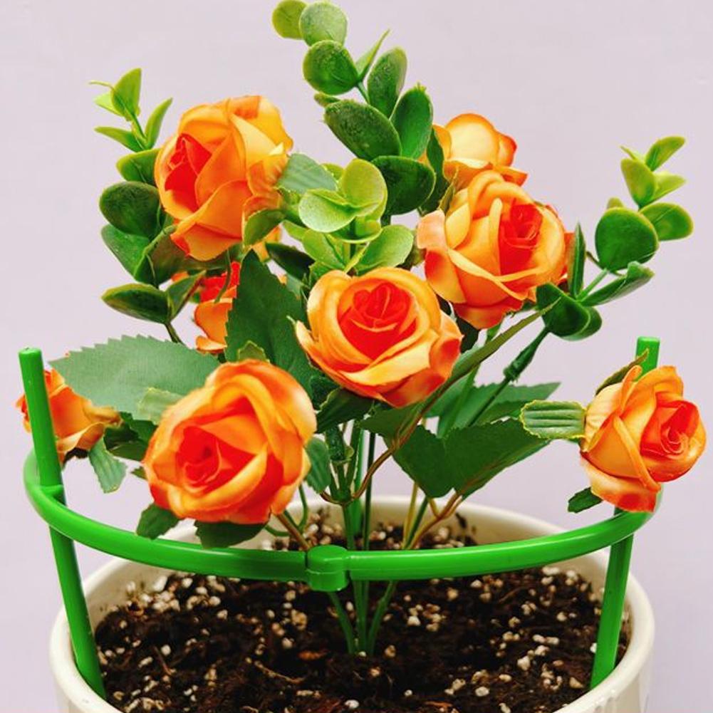 Kandang Tomat, Penyangga Tanam - Terracotta Pot ulasan dan harga
