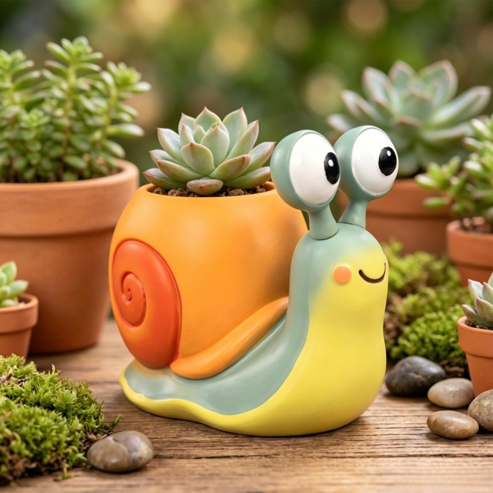 Pot Bunga Bentuk Siput, Tempat - Succulent Set ulasan dan harga