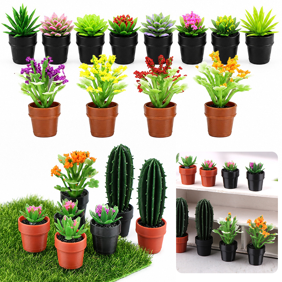 8 Buah Set Tanaman Sukulen Bua - Succulent Set ulasan dan harga
