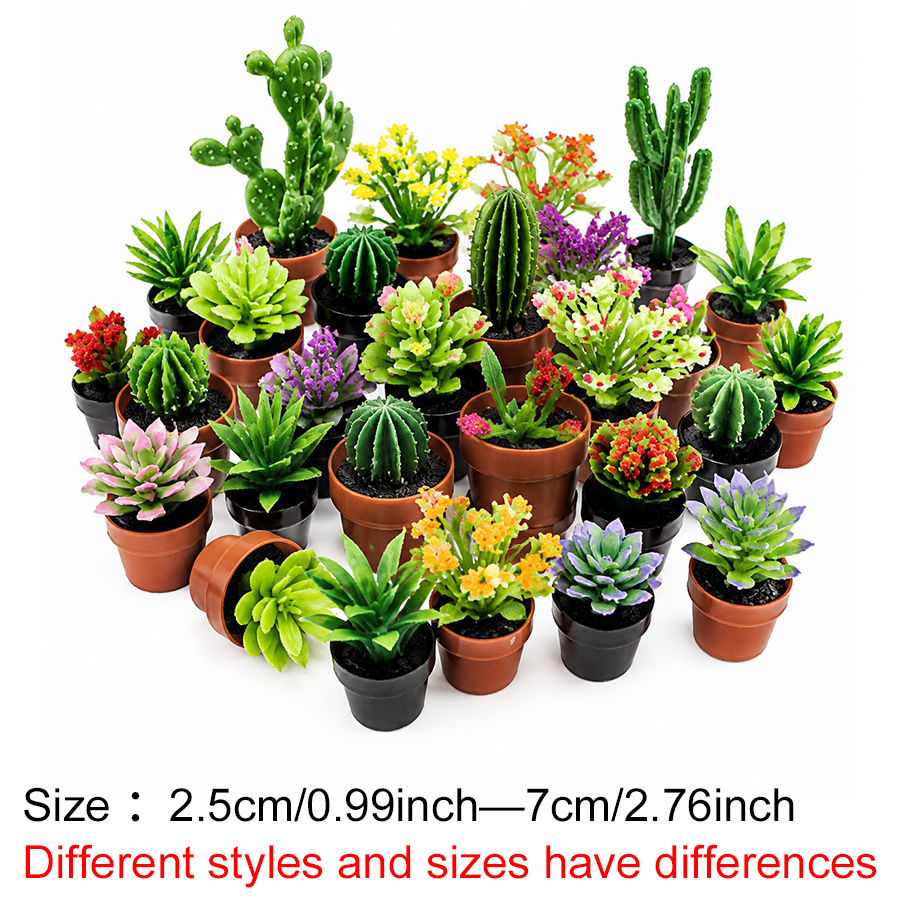 8 Buah Set Tanaman Sukulen Bua - Succulent Set ulasan dan harga