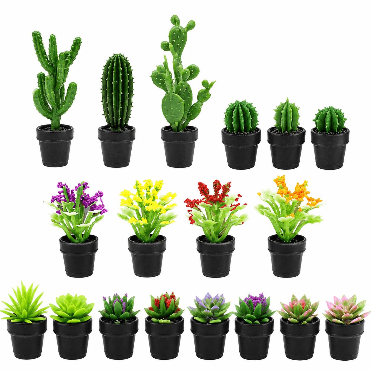 8 Buah Set Tanaman Sukulen Bua - Succulent Set ulasan dan harga