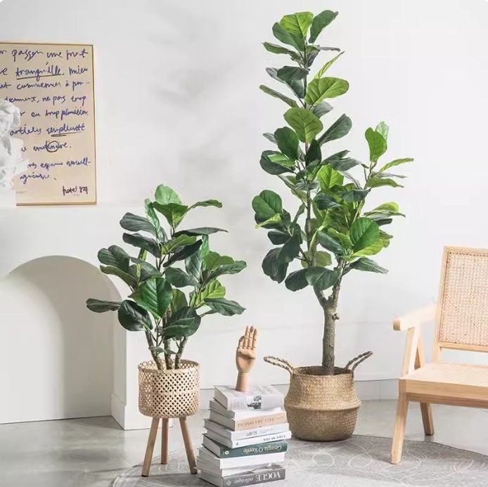 Tanaman Pot Plastik Buatan, Je - Fiddle Leaf Fig ulasan dan harga