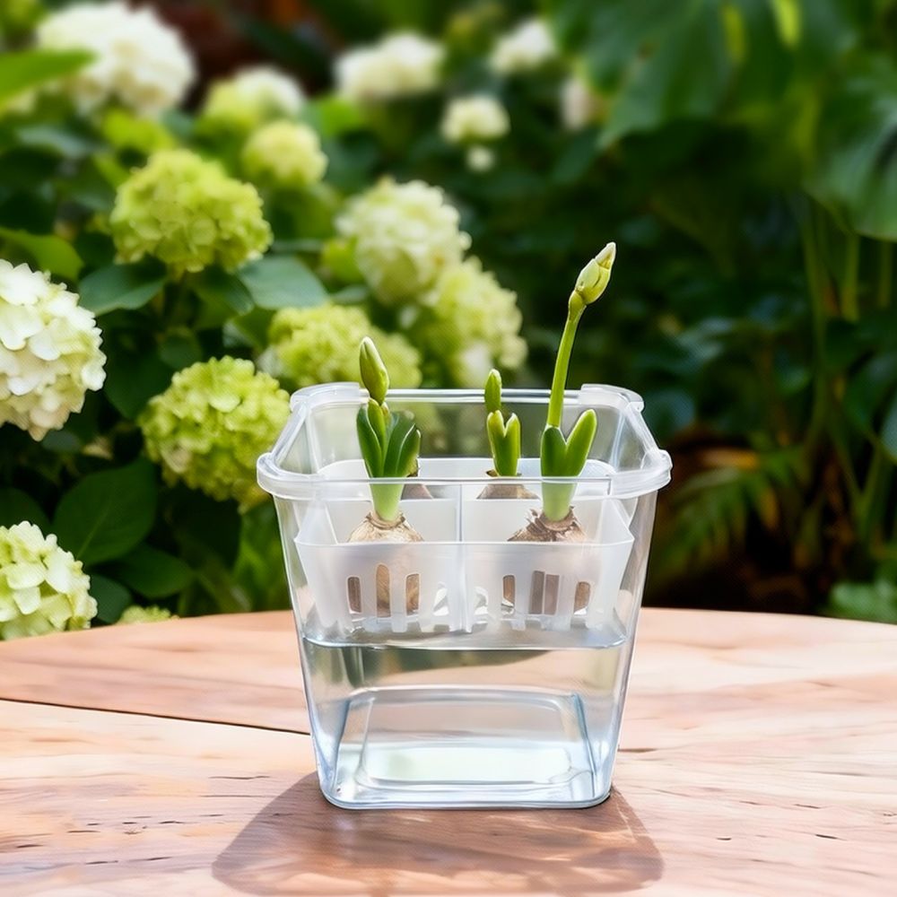 Vas Hidroponik untuk Bunga Tul - Plant Pot ulasan dan harga