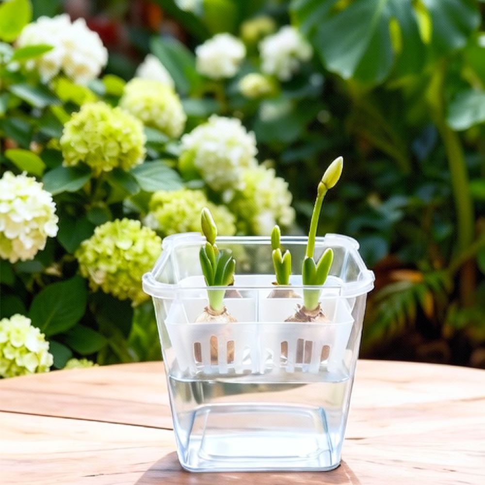 Vas Hidroponik untuk Bunga Tul - Plant Pot ulasan dan harga