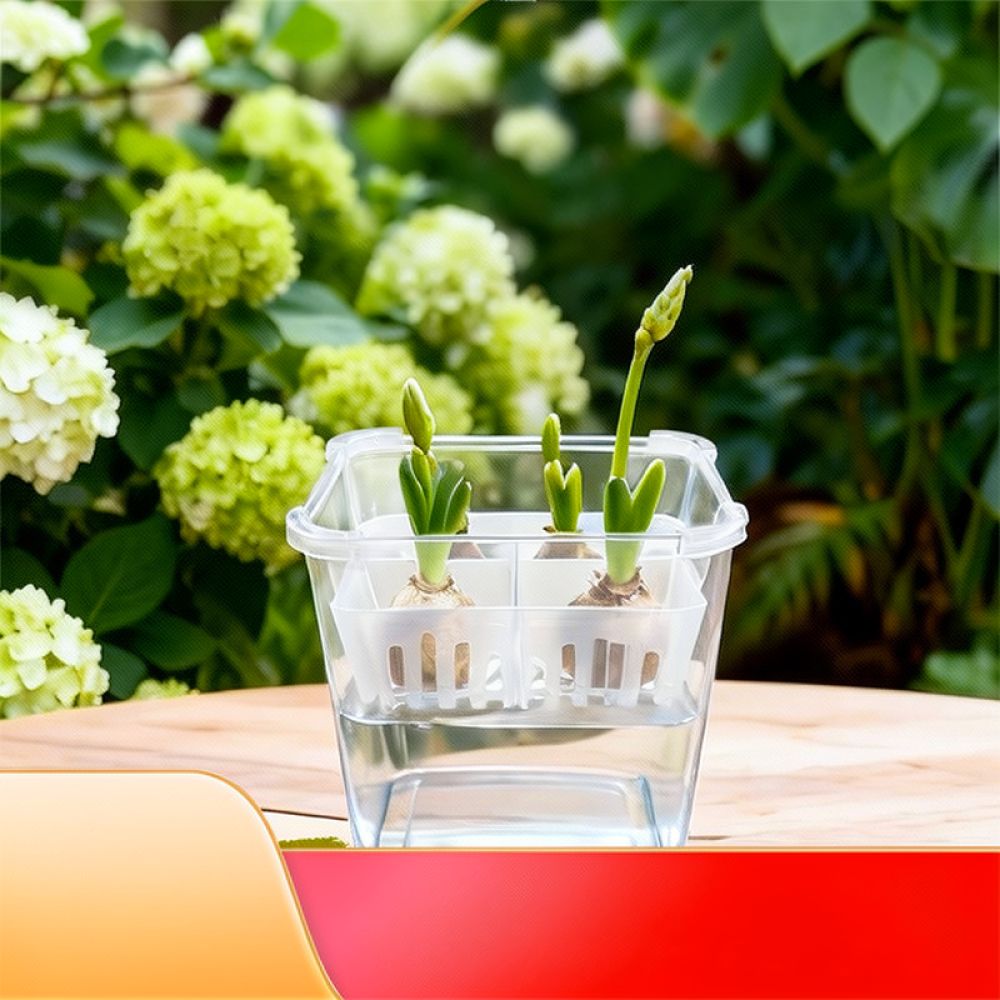 Vas Hidroponik untuk Bunga Tul - Plant Pot ulasan dan harga