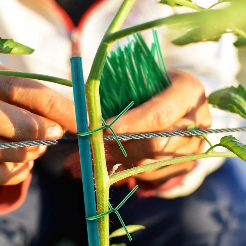 Tongkat Penyangga Tanaman, Tia - Plant Support Stake ulasan dan harga