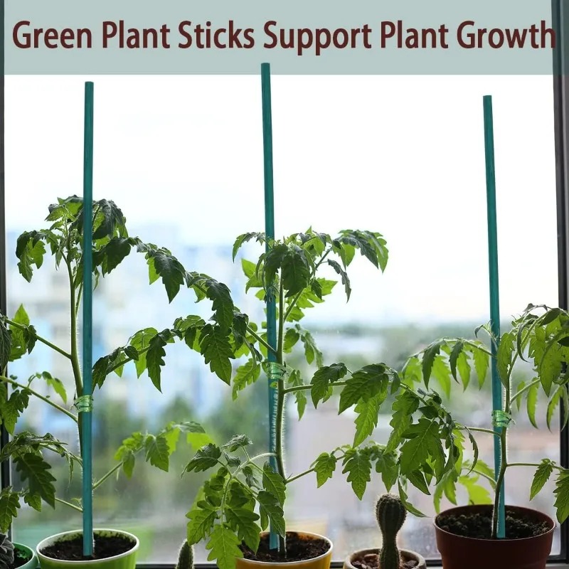 Tongkat Penyangga Tanaman, Tia - Plant Support Stake ulasan dan harga