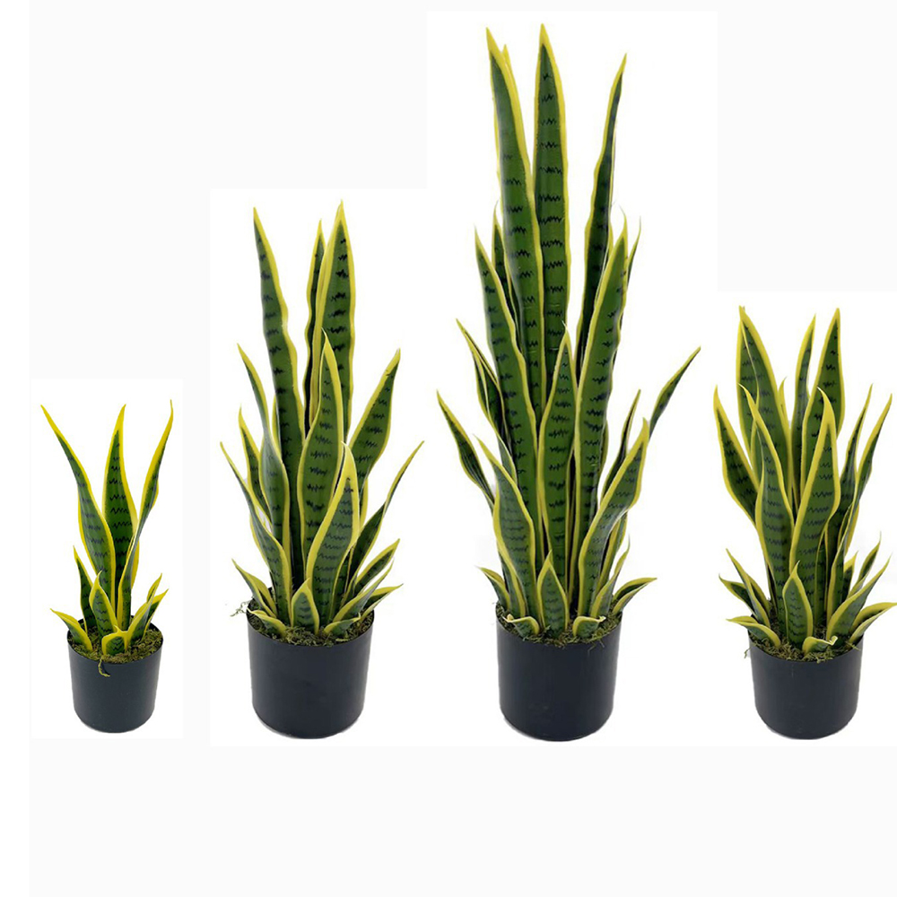 Tanaman Sansevieria Buatan 40- - Fiddle Leaf Fig ulasan dan harga