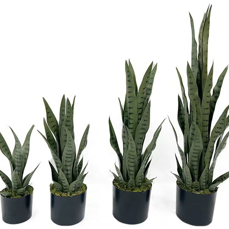 Tanaman Sansevieria Buatan 40- - Fiddle Leaf Fig ulasan dan harga