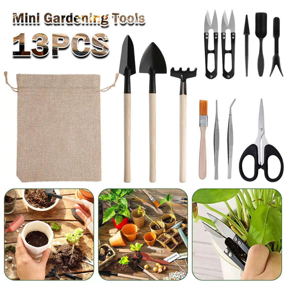 Set peralatan taman, Set peral - Succulent Set ulasan dan harga