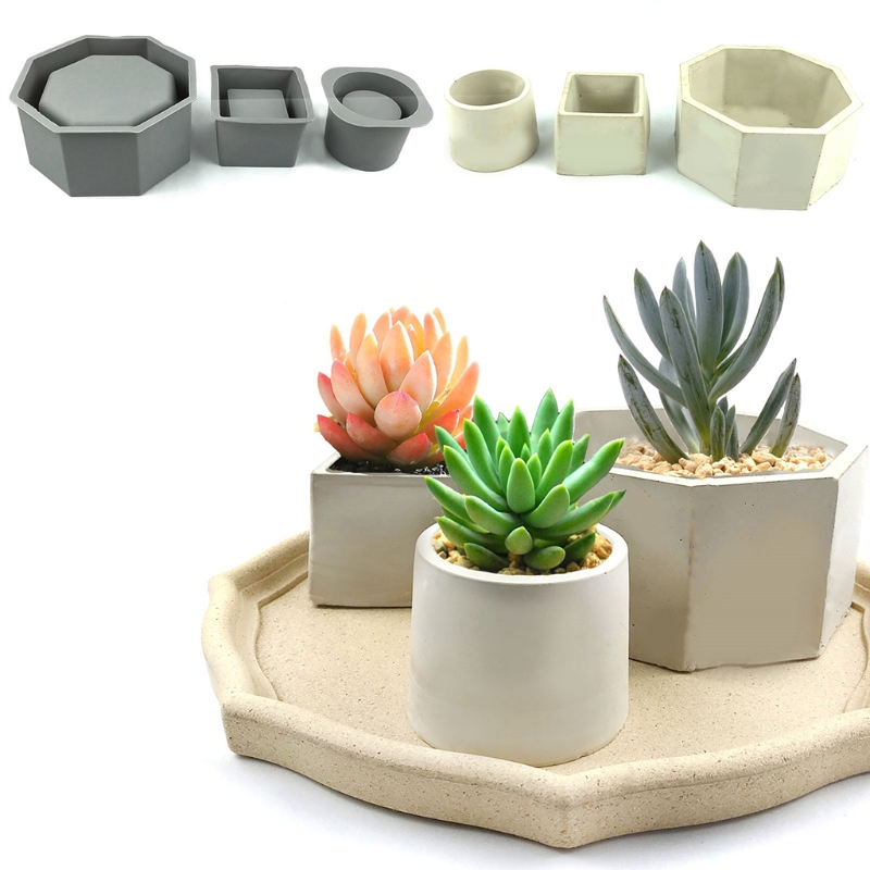 Buatan tangan sukulen Pot bung - Succulent Set ulasan dan harga