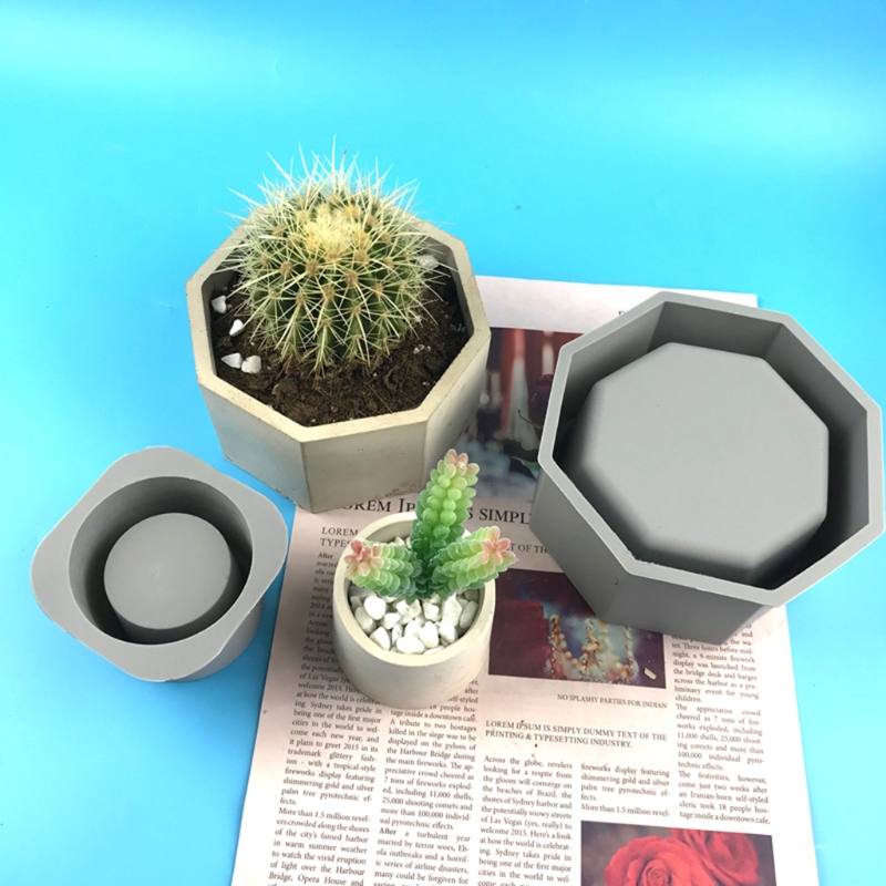 Buatan tangan sukulen Pot bung - Succulent Set ulasan dan harga