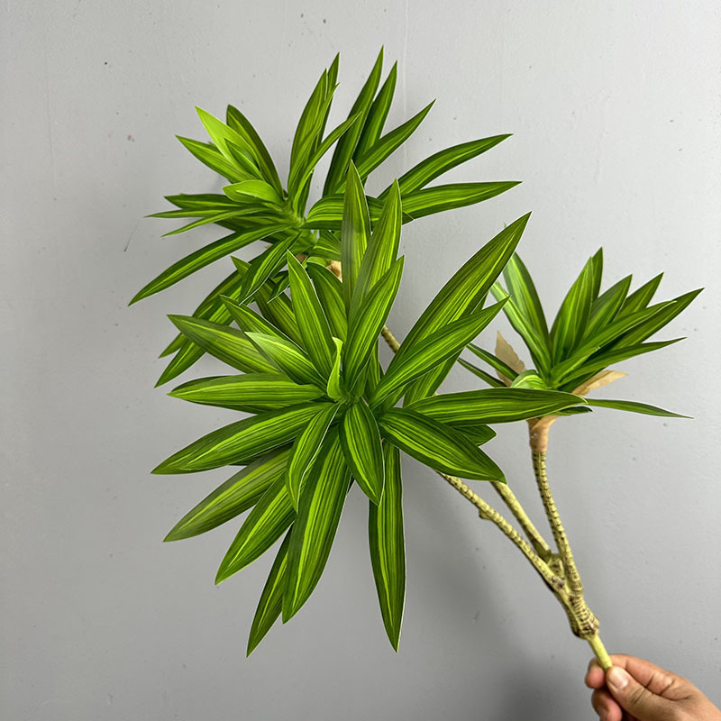 Tanaman Hijau Simulasi 3 Tangk - Snake Plant ulasan dan harga