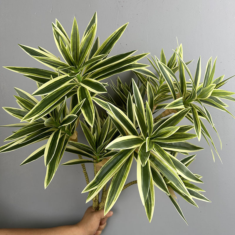Tanaman Hijau Simulasi 3 Tangk - Snake Plant ulasan dan harga