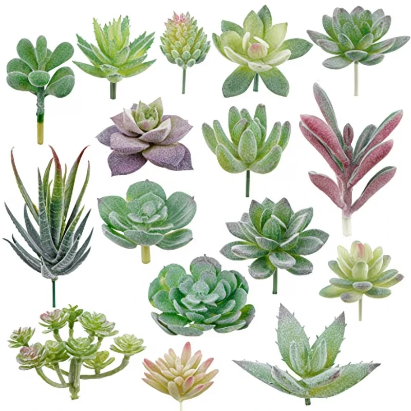 10/20 Buah Tanaman Sukulen PVC - Snake Plant ulasan dan harga