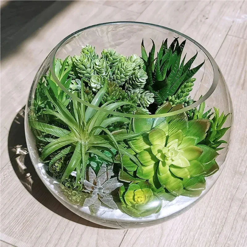10/20 Buah Tanaman Sukulen PVC - Snake Plant ulasan dan harga